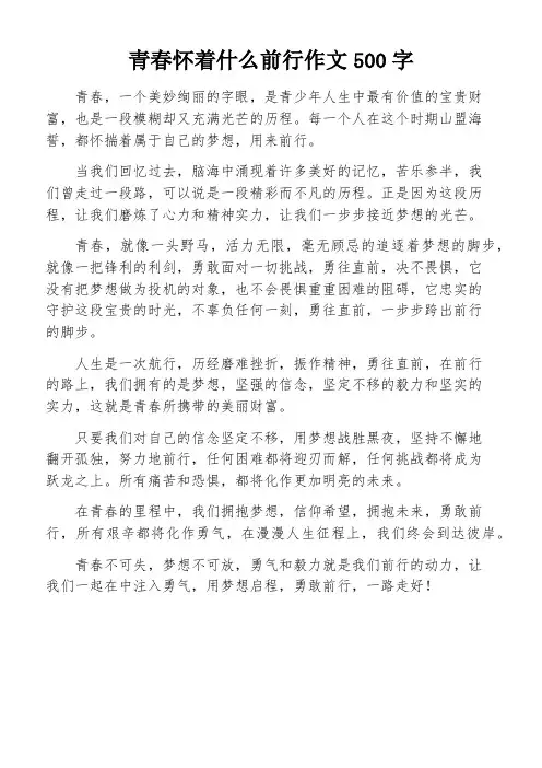 青春怀着什么前行作文500字