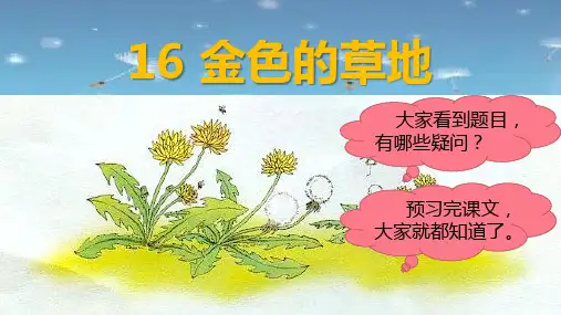 统编版三年级语文上册第16课《金色的草地》优质课件(共89张PPT)
