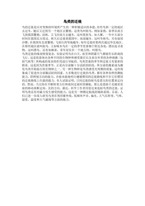 鸟类的迁徙