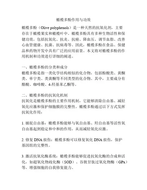 橄榄多酚作用与功效