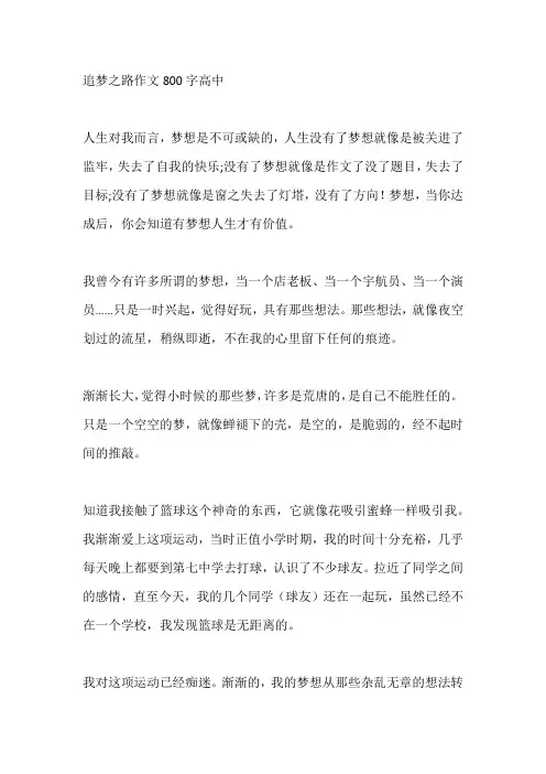 追梦之路作文800字高中