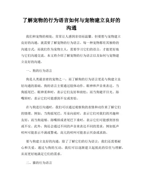 了解宠物的行为语言如何与宠物建立良好的沟通