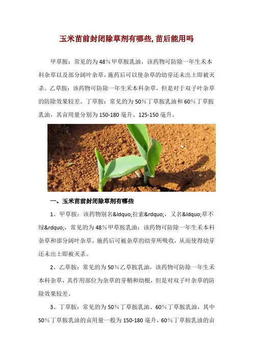 玉米苗前封闭除草剂有哪些,苗后能用吗