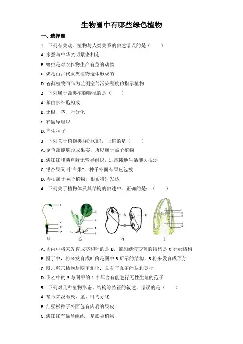 中考生物基础强化训练：生物圈中有哪些绿色植物（word版含解析）