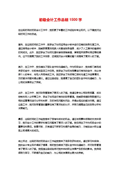 初级会计工作总结2
