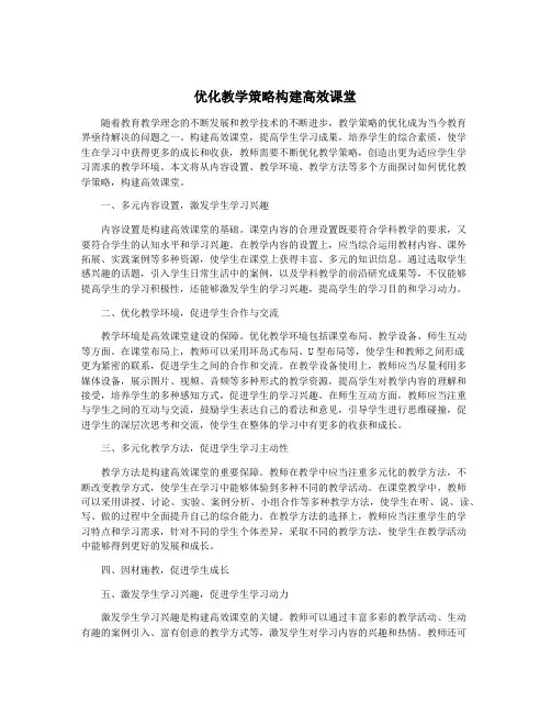 优化教学策略构建高效课堂
