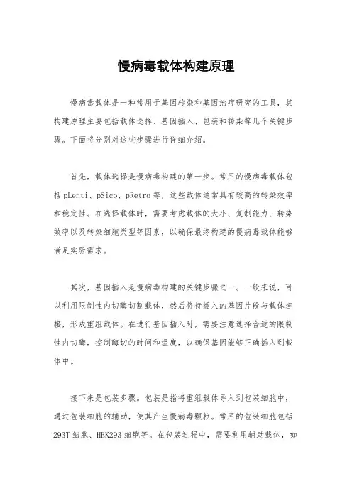 慢病毒载体构建原理