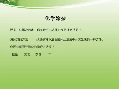 除杂 完整版课件PPT