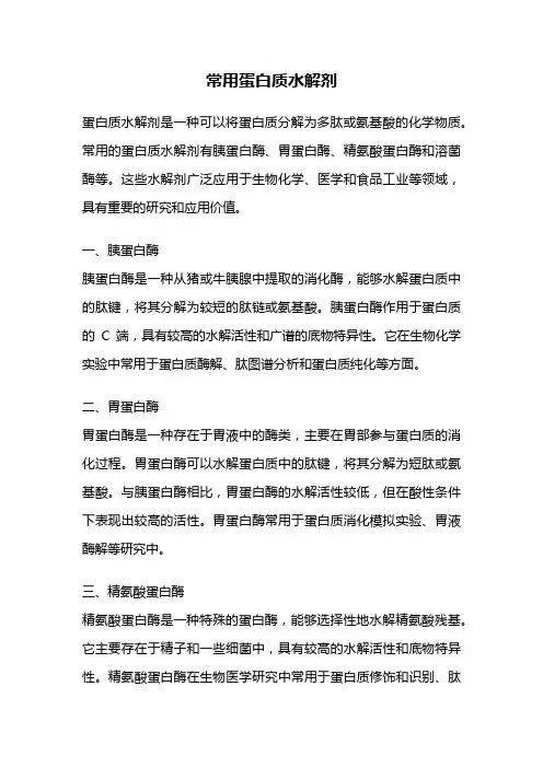 常用蛋白质水解剂