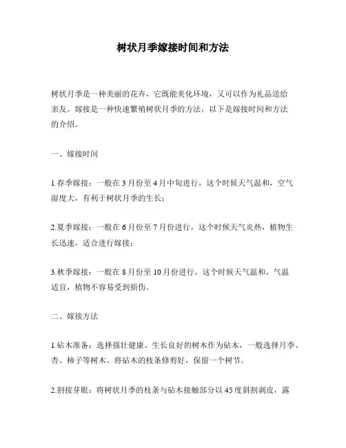 树状月季嫁接时间和方法