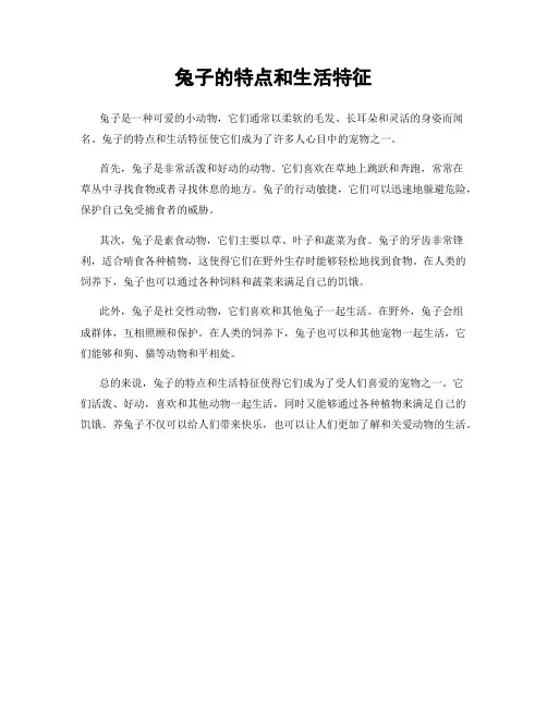 兔子的特点和生活特征