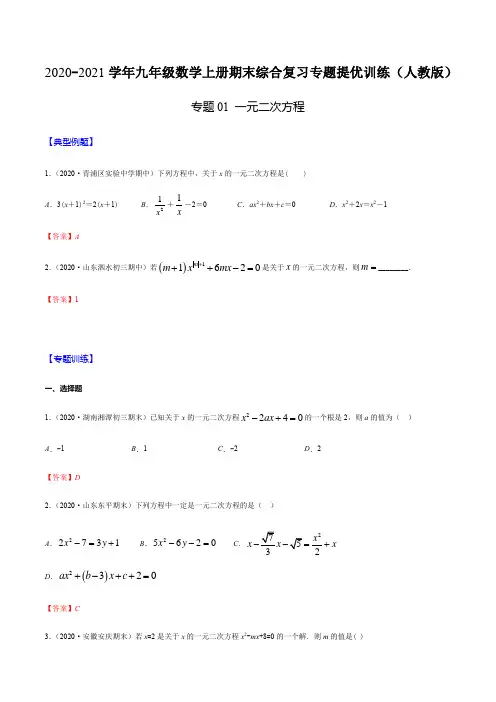 专题01 一元二次方程(解析版)-2020-2021学年九年级数学上册期末综合复习专题提优训练