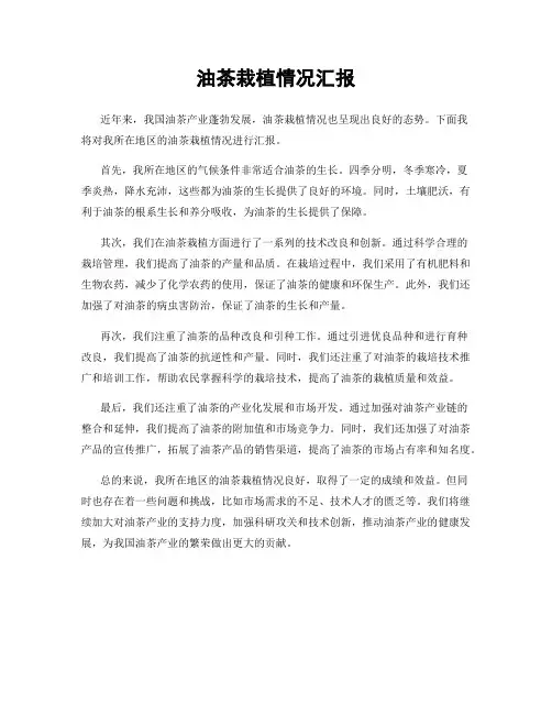 油茶栽植情况汇报