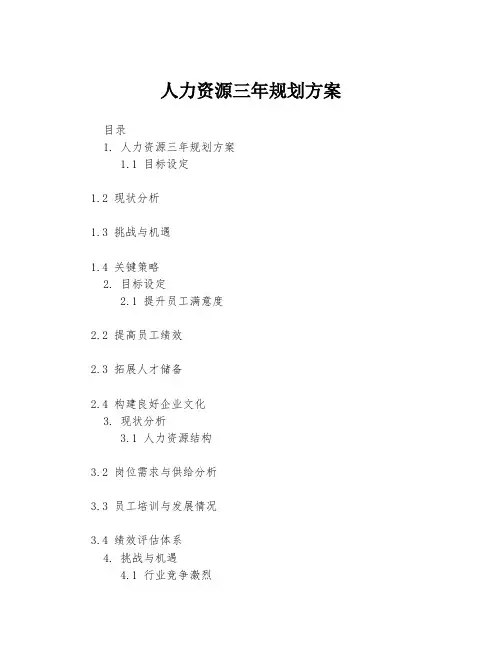 人力资源三年规划方案