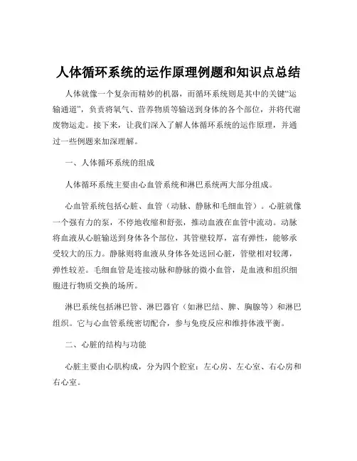 人体循环系统的运作原理例题和知识点总结