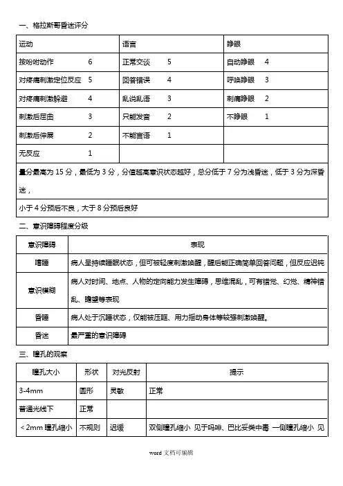 各种评分表.doc