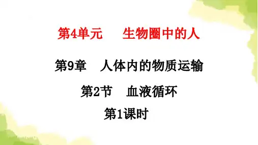 北师大版七年级生物下册第9章人体内的物质运输第2节血液循环第1课时课件