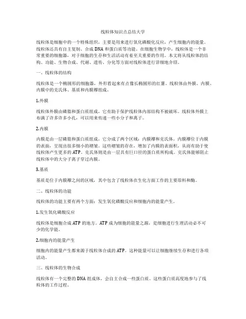 线粒体知识点总结大学