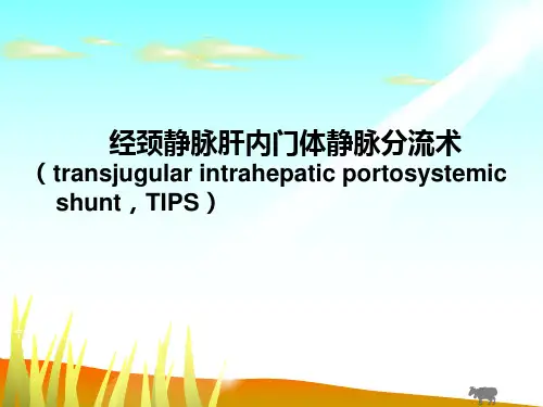 经颈静脉肝内门体静脉分流术 治疗术