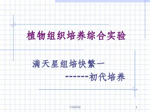 植物组织培养综合实验