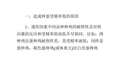 夏季鸡蛋受精率低的原因及对策