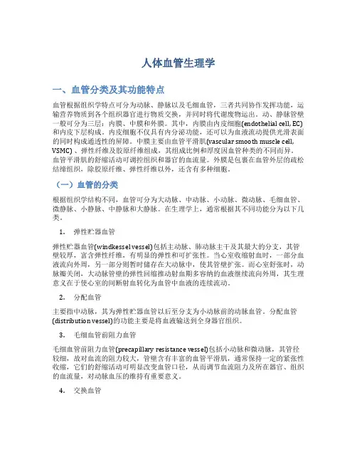 人体血管生理学