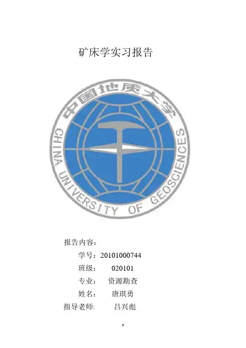 玲珑金矿床研究报告