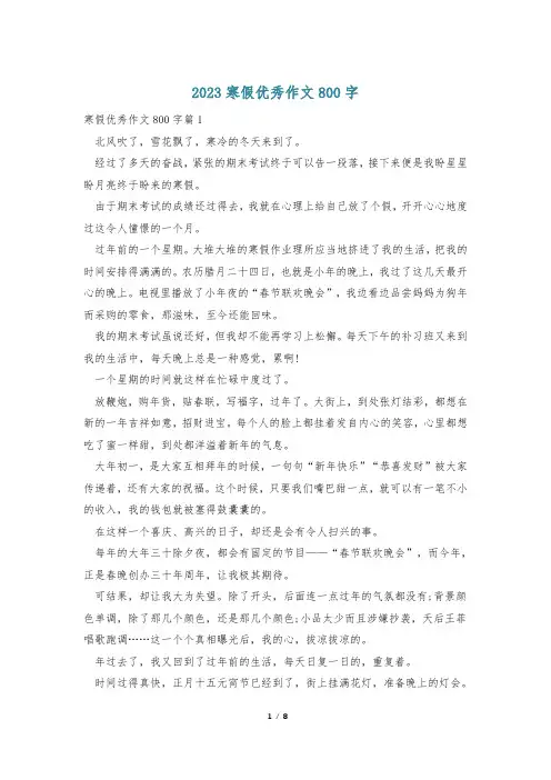 2023寒假优秀作文800字