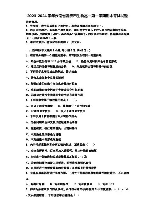 2023-2024学年云南省德宏市生物高一第一学期期末考试试题含解析
