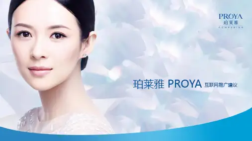 化妆品牌珀莱雅互联网程序化推广建议营销策划方案