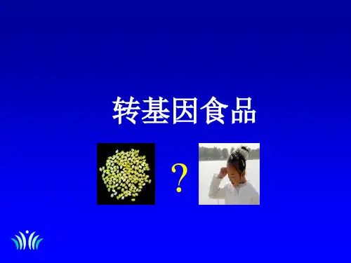 转基因食品