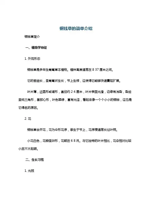 铜钱草的简单介绍
