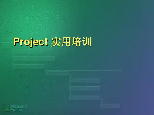 Project说明书.ppt