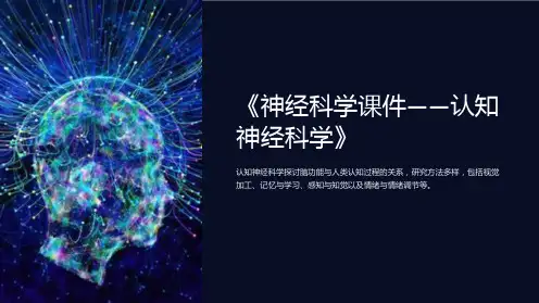 《神经科学课件——认知神经科学》