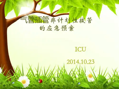 非计划性拔管的预防
