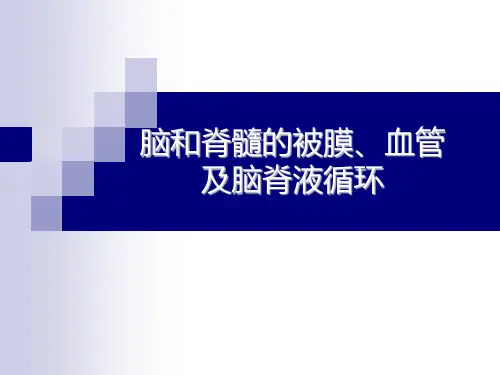 脑和脊髓的被膜、血管_以及脑脊液循环