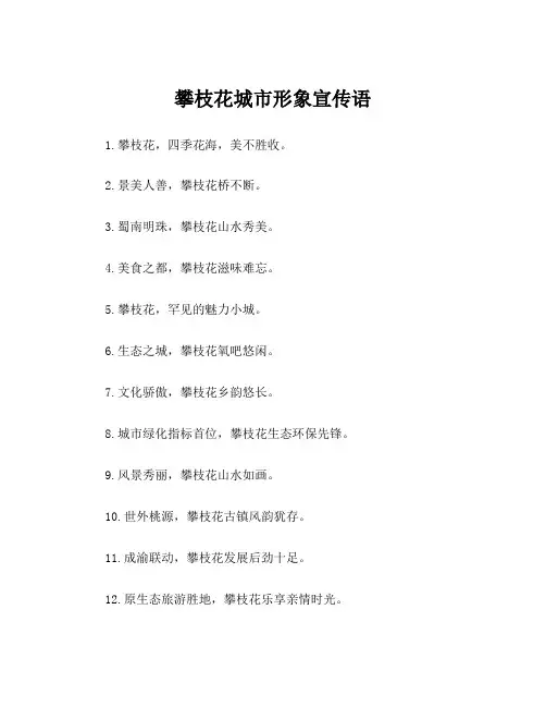 攀枝花城市形象宣传语
