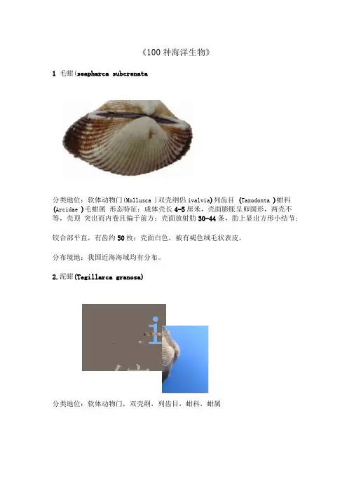 100种海洋生物的介绍