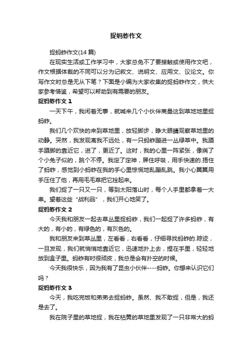 捉蚂蚱作文