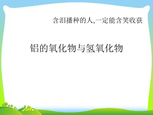 铝的氧化物与氢氧-课件