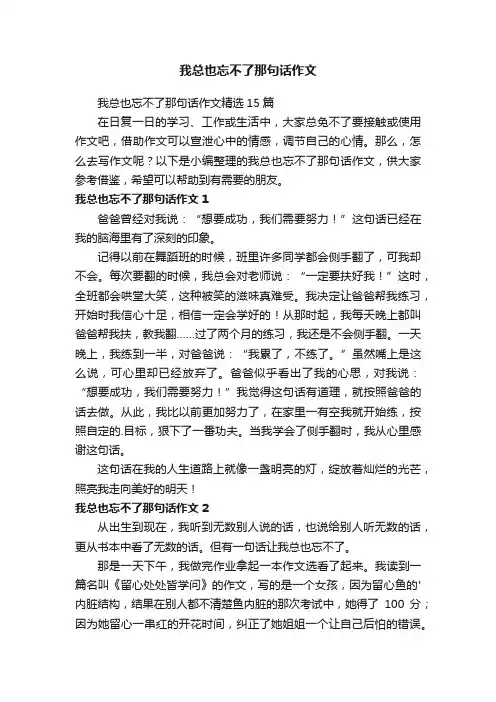 我总也忘不了那句话作文