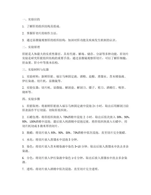 肝切片的组胚实验报告