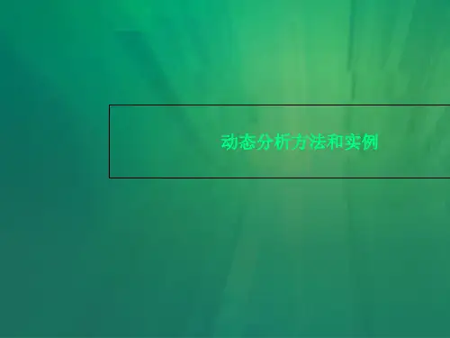 动态分析方法和实例