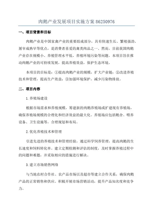 肉鹅产业发展项目实施方案86250976