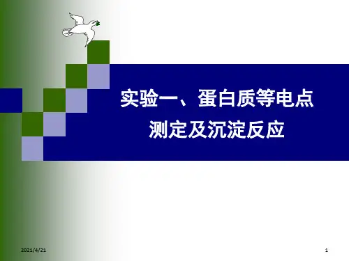 实验蛋白质的等电点测定和沉淀反应