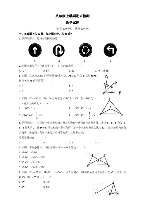 2019年山东省八年级上册期末考试数学试题有答案【新编版】