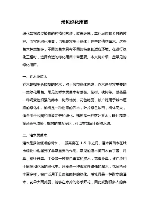 常见绿化用苗