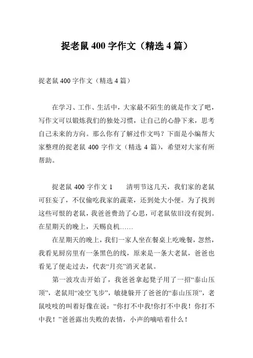 捉老鼠400字作文(精选4篇)