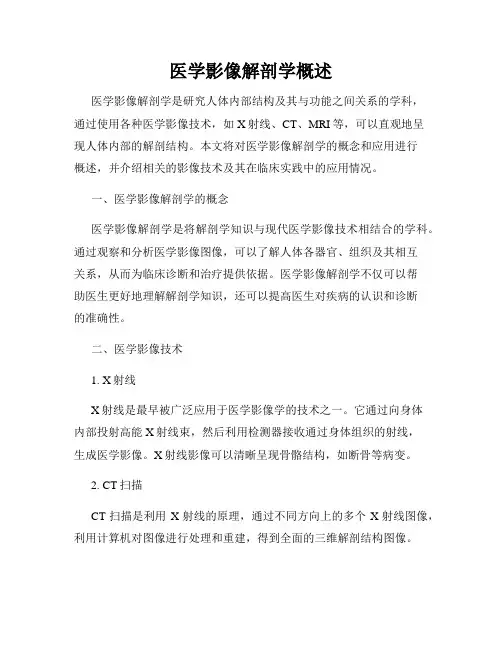 医学影像解剖学概述
