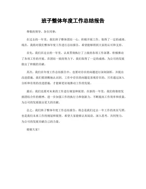 班子整体年度工作总结报告